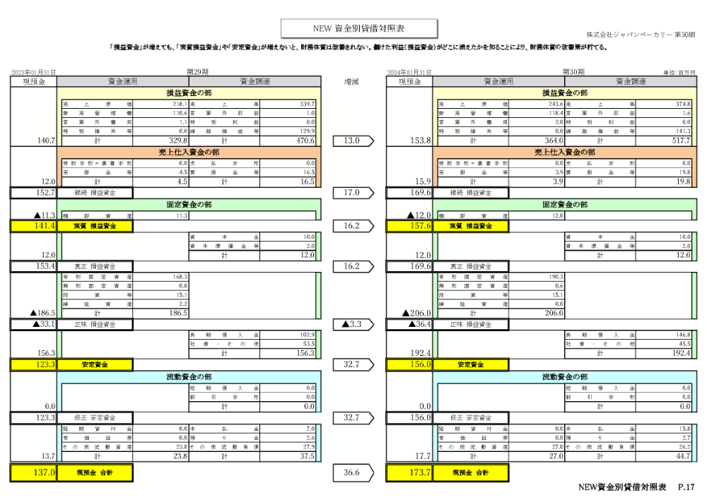 NEW 資金別貸借対照表