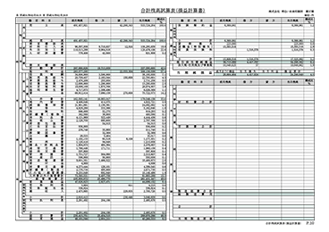 合計残高試算表(損益計算書)