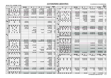 合計残高試算表(貸借対照表)