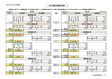NEW 資金別貸借対照表
